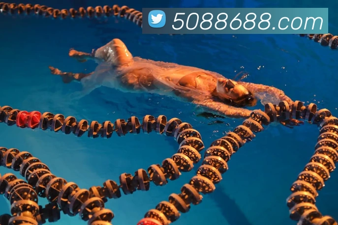 8868体育APP 封面图